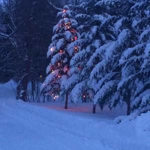 Meet your Posher, Debra